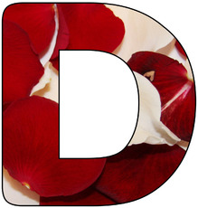 Deko-Buchstaben-Rosenblätter_D.jpg